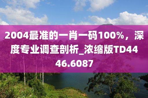 2004最准的一肖一码100%，深度专业调查剖析_浓缩版TD4446.6087