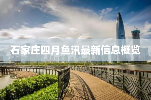 石家庄四月鱼汛最新信息概览