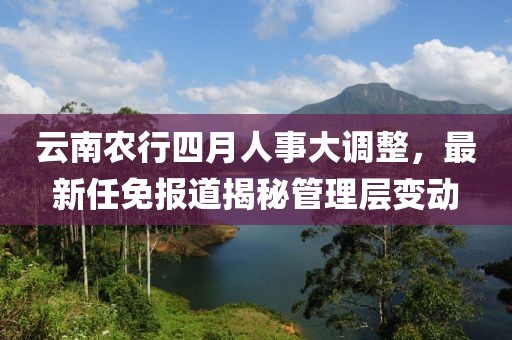 云南农行四月人事大调整，最新任免报道揭秘管理层变动