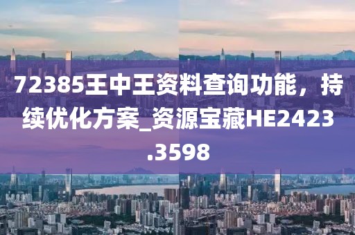 72385王中王资料查询功能，持续优化方案_资源宝藏HE2423.3598