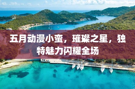 五月动漫小蛮，璀璨之星，独特魅力闪耀全场