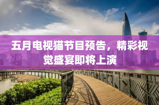 五月电视猫节目预告，精彩视觉盛宴即将上演