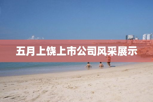 五月上饶上市公司风采展示