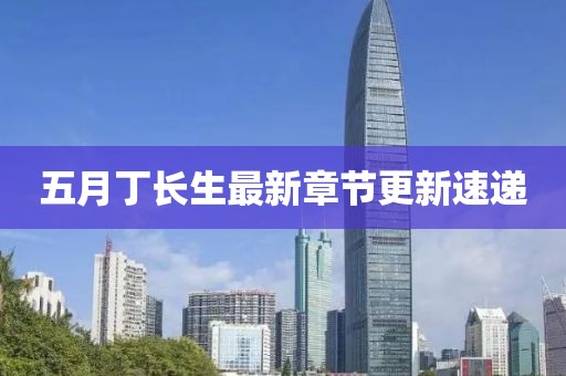 五月丁长生最新章节更新速递