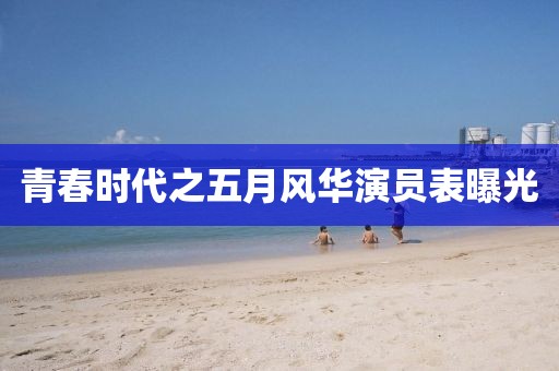 青春时代之五月风华演员表曝光