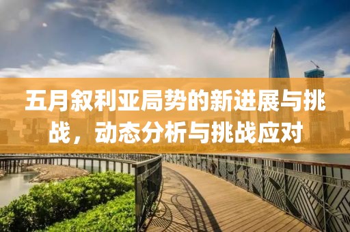 五月叙利亚局势的新进展与挑战，动态分析与挑战应对