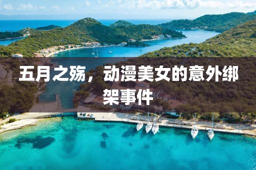 五月之殇，动漫美女的意外绑架事件