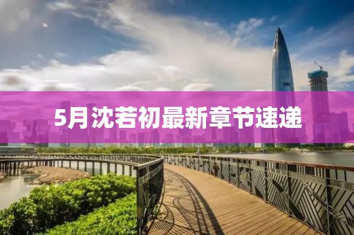 5月沈若初最新章节速递