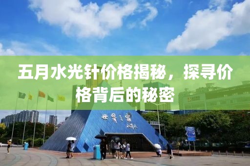 五月水光针价格揭秘，探寻价格背后的秘密