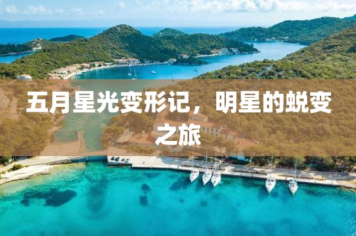 五月星光变形记，明星的蜕变之旅