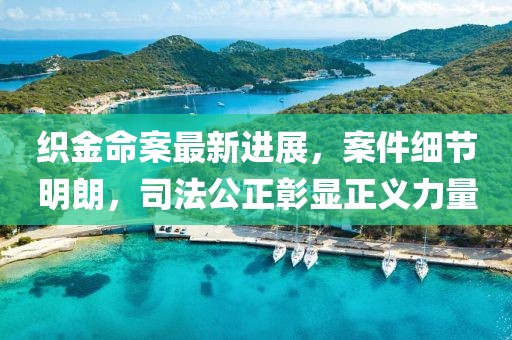织金命案最新进展，案件细节明朗，司法公正彰显正义力量