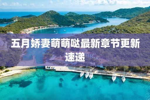 五月娇妻萌萌哒最新章节更新速递