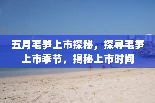 五月毛笋上市探秘，探寻毛笋上市季节，揭秘上市时间