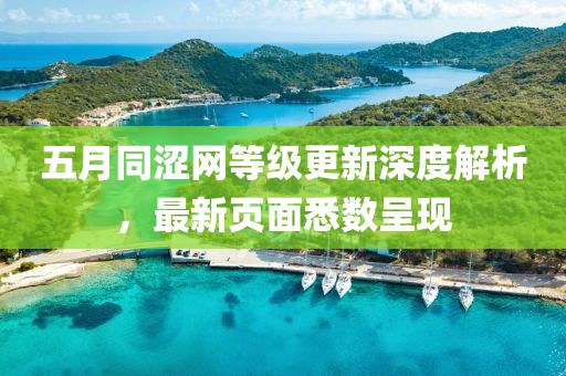 五月同涩网等级更新深度解析，最新页面悉数呈现