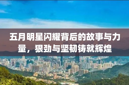 五月明星闪耀背后的故事与力量，狠劲与坚韧铸就辉煌