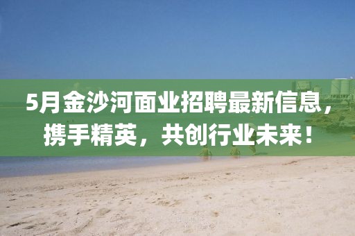 5月金沙河面业招聘最新信息，携手精英，共创行业未来！