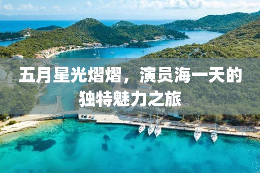 五月星光熠熠，演员海一天的独特魅力之旅
