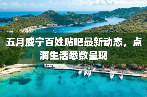 五月威宁百姓贴吧最新动态，点滴生活悉数呈现