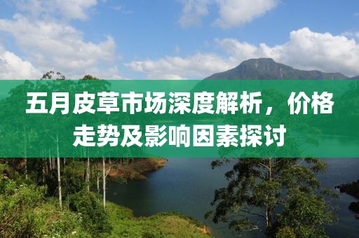 五月皮草市场深度解析，价格走势及影响因素探讨