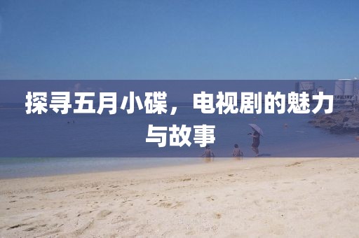 探寻五月小碟，电视剧的魅力与故事