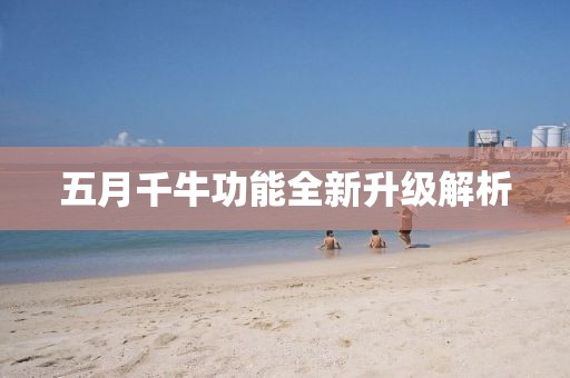 五月千牛功能全新升级解析