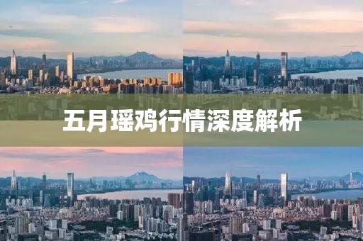 五月瑶鸡行情深度解析
