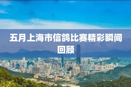 五月上海市信鸽比赛精彩瞬间回顾