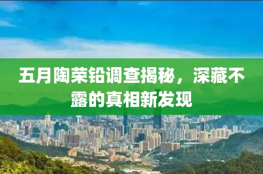 五月陶荣铅调查揭秘，深藏不露的真相新发现