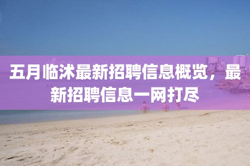 五月临沭最新招聘信息概览，最新招聘信息一网打尽