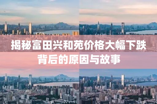揭秘富田兴和苑价格大幅下跌背后的原因与故事
