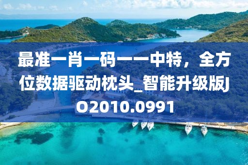 最准一肖一码一一中特，全方位数据驱动枕头_智能升级版JO2010.0991