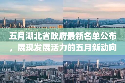 五月湖北省政府最新名单公布，展现发展活力的五月新动向