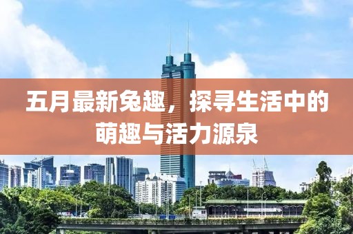 五月最新兔趣，探寻生活中的萌趣与活力源泉