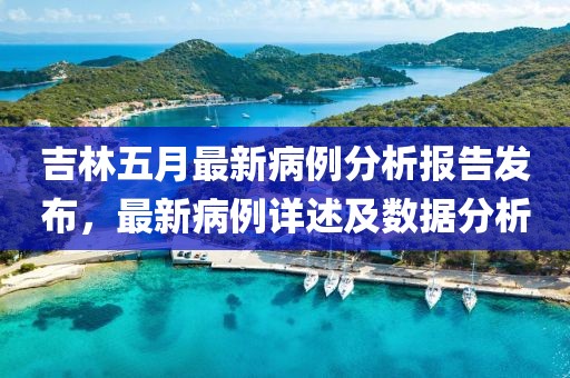 吉林五月最新病例分析报告发布，最新病例详述及数据分析
