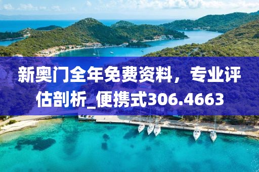 新奥门全年免费资料，专业评估剖析_便携式306.4663