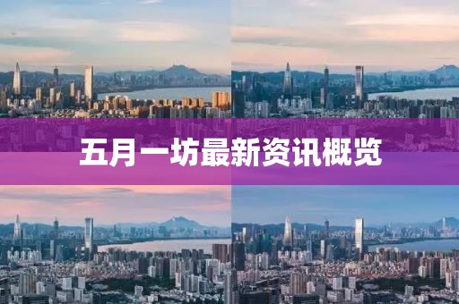 五月一坊最新资讯概览