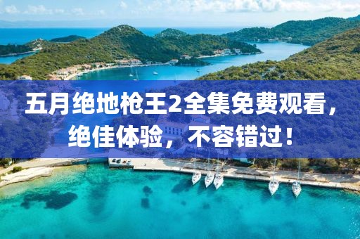 五月绝地枪王2全集免费观看，绝佳体验，不容错过！