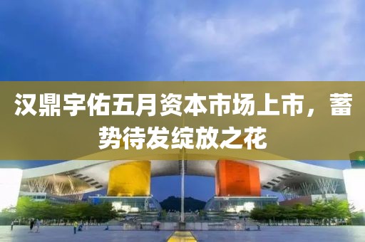汉鼎宇佑五月资本市场上市，蓄势待发绽放之花