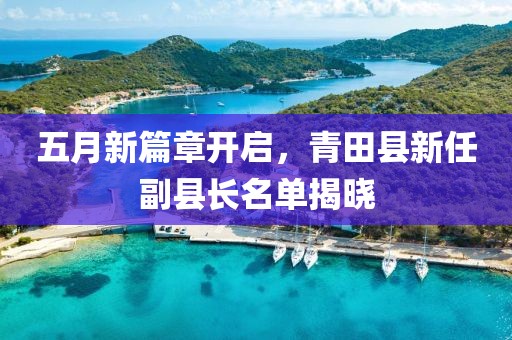 五月新篇章开启，青田县新任副县长名单揭晓
