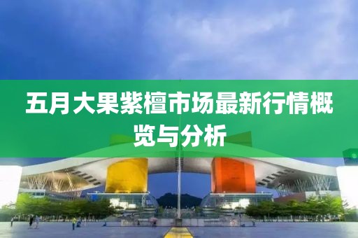 五月大果紫檀市场最新行情概览与分析