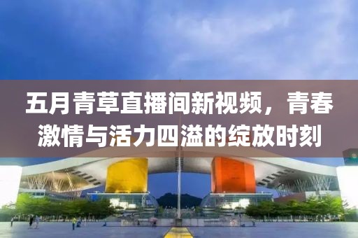 五月青草直播间新视频，青春激情与活力四溢的绽放时刻