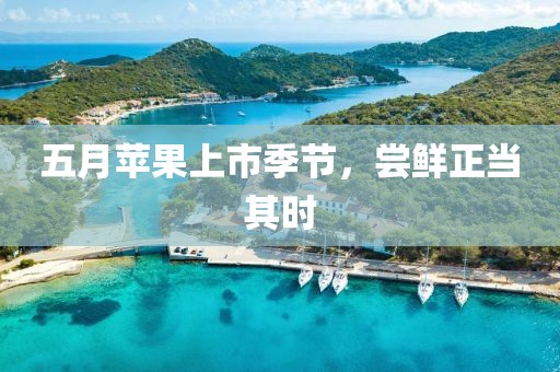五月苹果上市季节，尝鲜正当其时