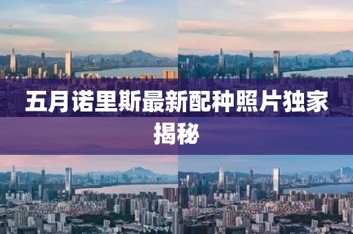 五月诺里斯最新配种照片独家揭秘