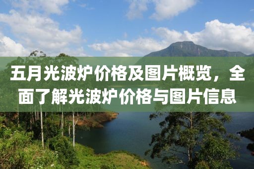 五月光波炉价格及图片概览，全面了解光波炉价格与图片信息
