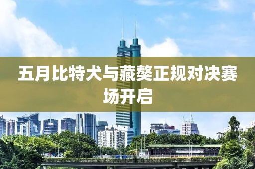 五月比特犬与藏獒正规对决赛场开启
