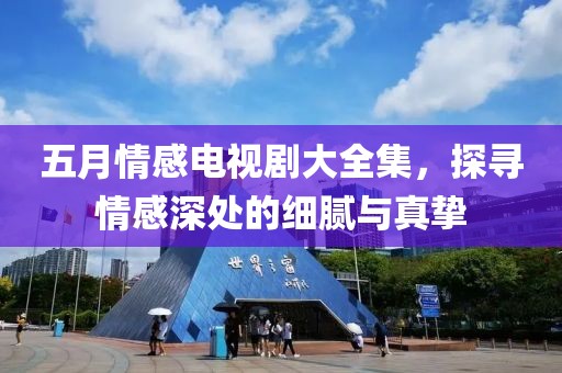 五月情感电视剧大全集，探寻情感深处的细腻与真挚