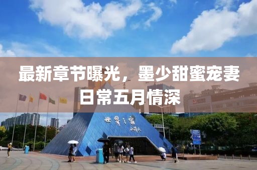 最新章节曝光，墨少甜蜜宠妻日常五月情深