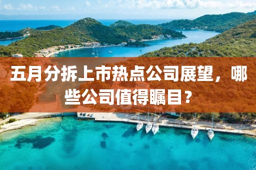 五月分拆上市热点公司展望，哪些公司值得瞩目？