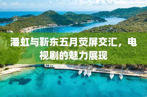潘虹与靳东五月荧屏交汇，电视剧的魅力展现