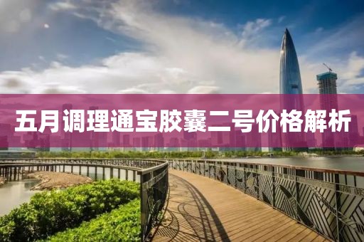 五月调理通宝胶囊二号价格解析